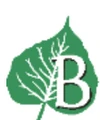 Bodhi Professional Solutions