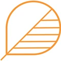 Bodhik