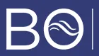 Blue Ocean logo