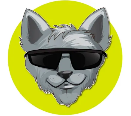 BombayCat Films