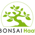 Bonsai Haat logo
