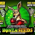Bonza Seeds logo