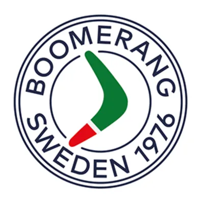 Boomerang logo