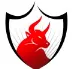 Booming Bulls logo