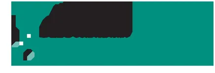 Boringen logo