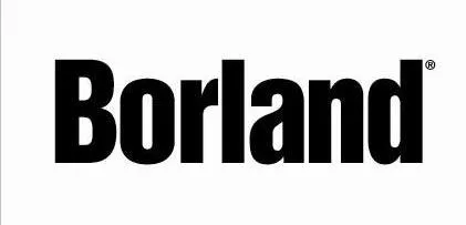 Borland logo