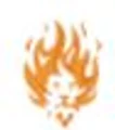 Bornfire Services