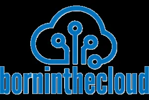 Born In The Cloud logo
