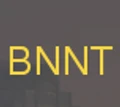 Bornitron logo