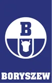 Boryszew Group logo