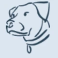 Bourbons Paper logo
