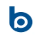 BPOINTER