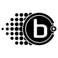 Braille logo