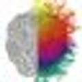 Brainpr