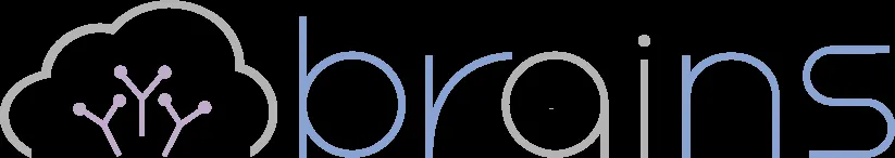 Brains Technology logo