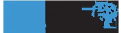 BrainSphere IT Solutions logo