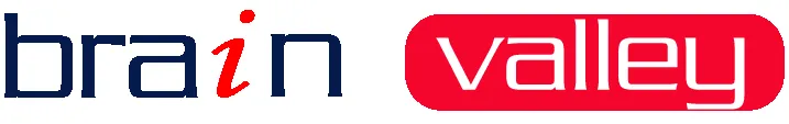 Brainvalley logo