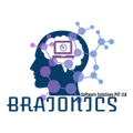 Braionics