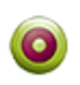 Brand Visage logo