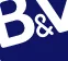 Brand and Vision logo