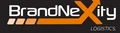 BrandNexity Logistics logo