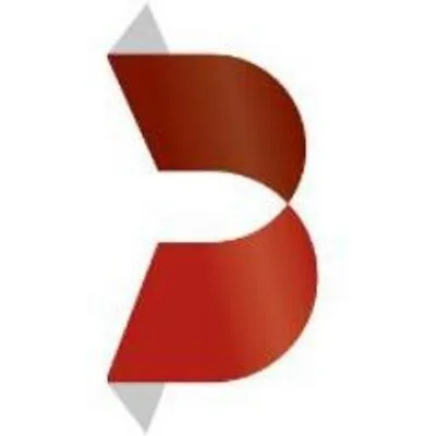 Brandinfo logo