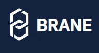 Brane logo