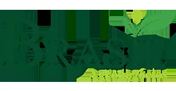 Brasil Agronegcios logo