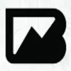 BRAVEN logo