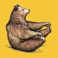 Brawny Bear