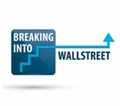 Breaking Into Wall Street logo