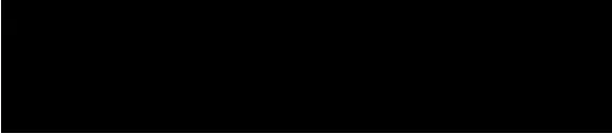 Breezytail logo