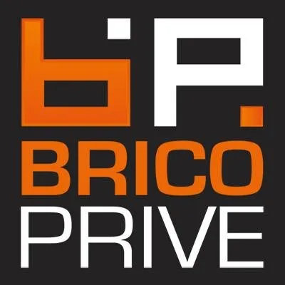 Brico Prive logo