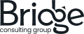 Bridge Consulting Group