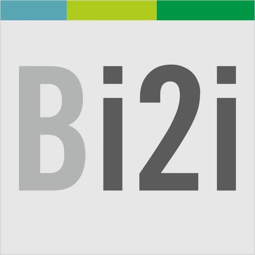 BRIDGEi2i