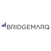 Bridgemarq logo