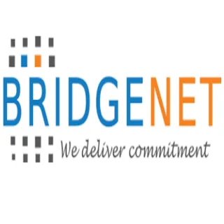 Bridgenet Solutions logo