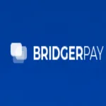 BridgerPay logo