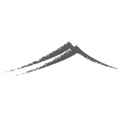 Bridge Strategy logo