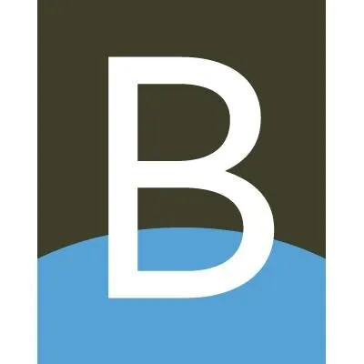 Bridgewell Resources logo