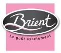 Brient logo