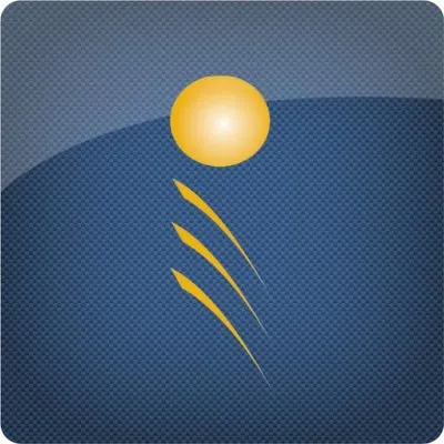 Brighterion logo