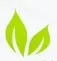 Bright Green logo