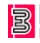 Bright Plastics logo