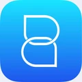Brigie logo