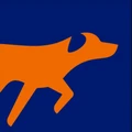 BrillDog logo