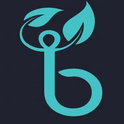 Brillsense