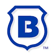 Brinks Home logo