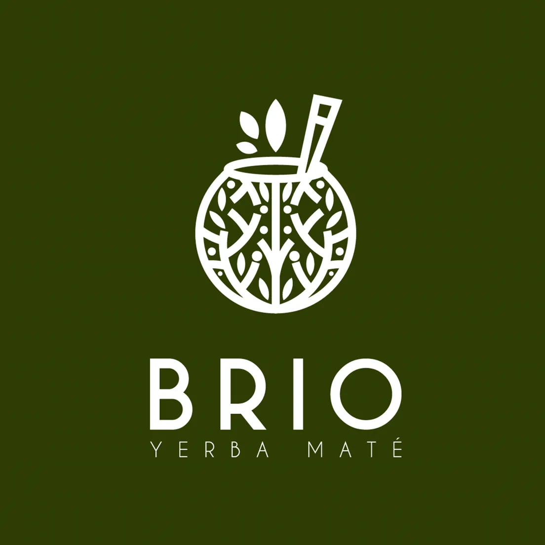 BRIO logo