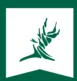 Bristlecone Construction logo